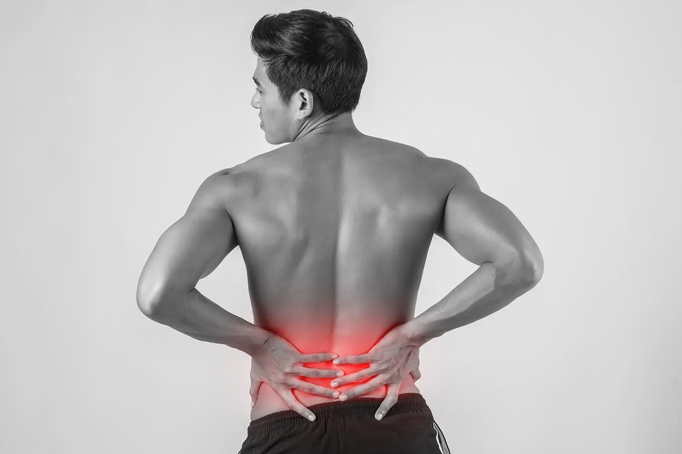 low back pain adalah